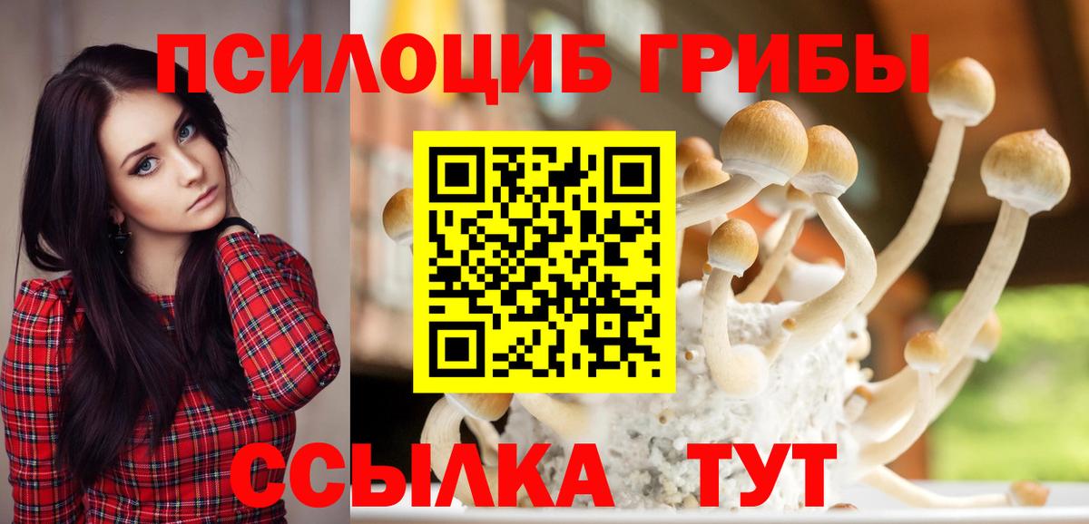 Псилоцибиновые грибы GOLDEN TEACHER  Вход с VPN  Рязань  Псилоцибиновые грибы Psilocybine cubensis 