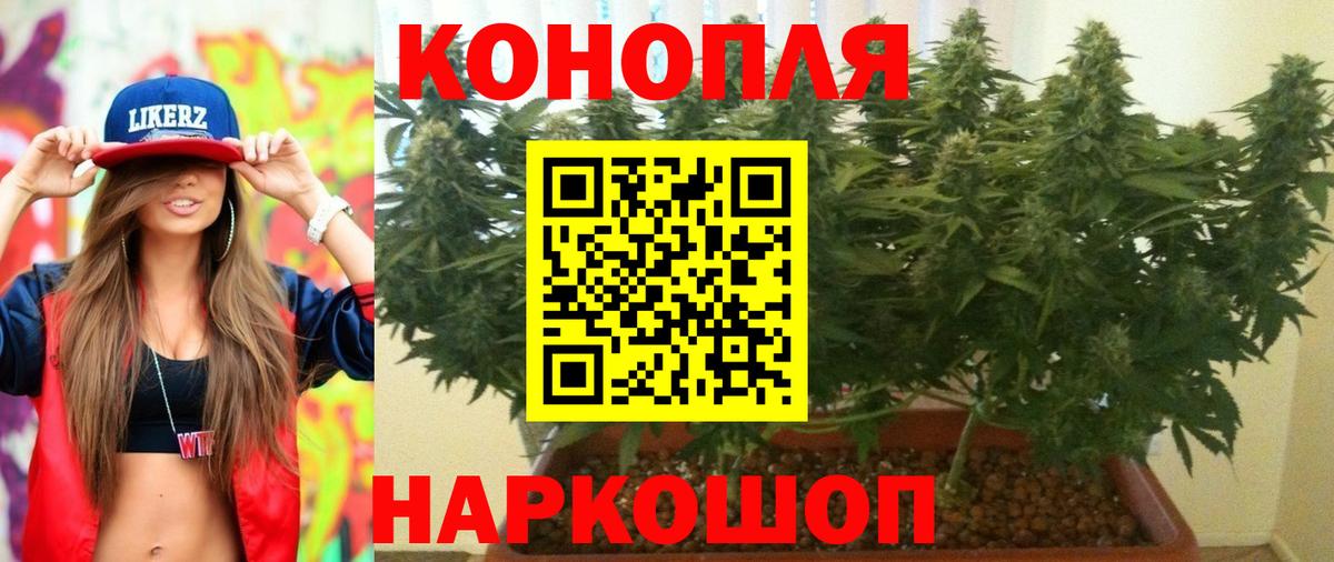 Рязань  Канабис семена  Вход с VPN  МАРИХУАНА сатива  Каннабис гибрид 